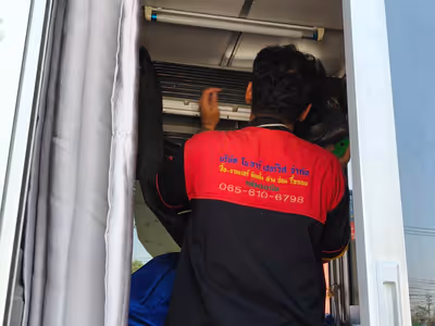 ภาพแกลลอรี่ 13